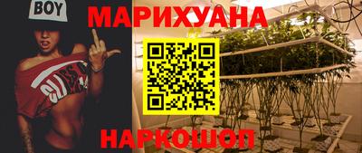крисы Кунгур