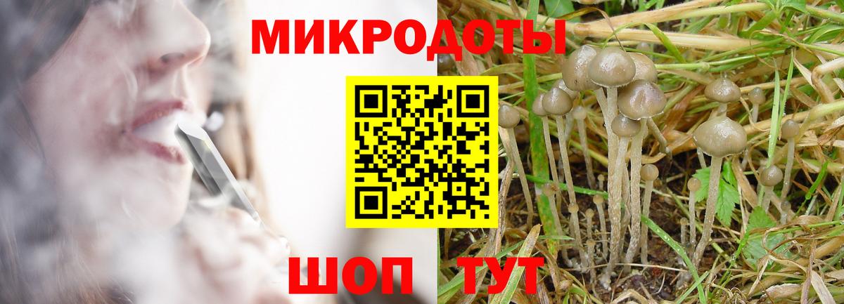 Псилоцибиновые грибы Psilocybine cubensis  Вход с VPN  Гулькевичи 